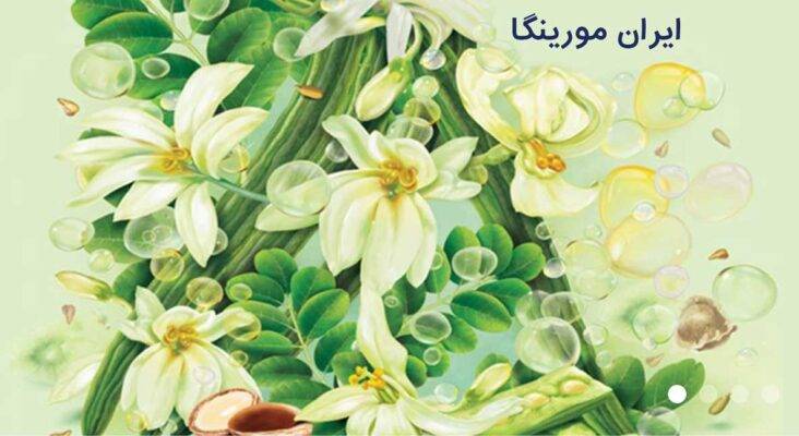 برنای کهنسال روییدنیها