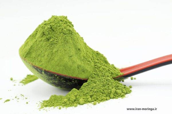 پودر مورینگا گاتی