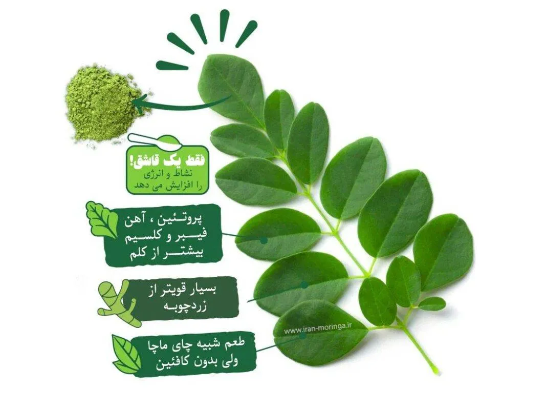 مقایسه مورینگا